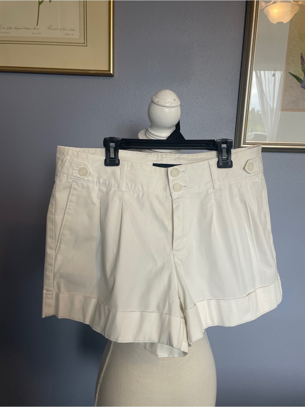 Banana Republic High Rise Pleated-Front Dressy Shorts size 10